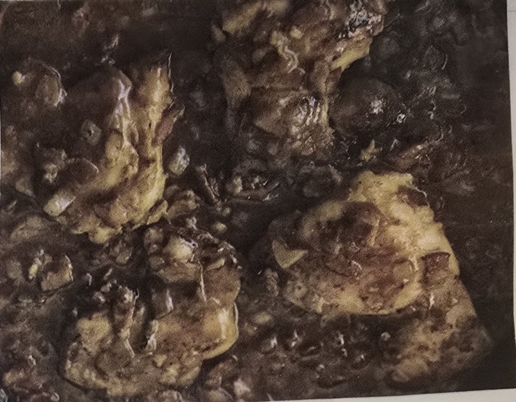 Bacon Mustard Chicken