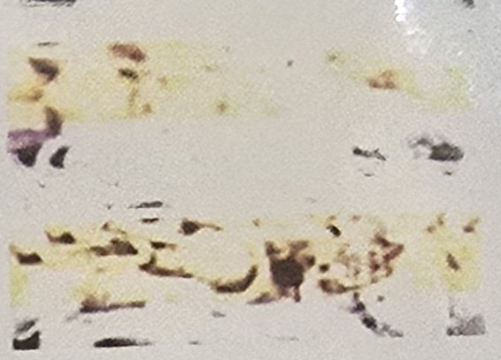 Cream Cheese Bacon Chicken&nbsp;Pasta